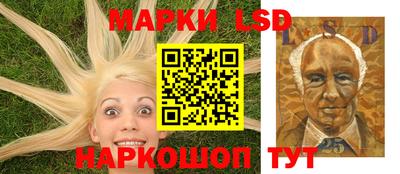 дмт Славгород